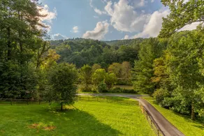 Dreams and Streams-3BR on New River, walk to Wahoo - Image 2