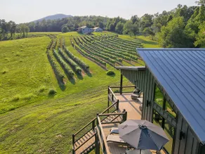 Vineyard House “Casa Tra Le Vigne” by Chatuge Home Concierge | Lake Access · Firepit · Ping Pong - Image 5