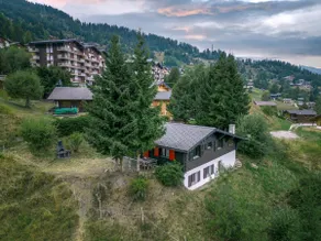 Chalet Nicolas - Image 4