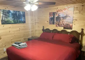 Creekside 3 bedroom 2 bath cabin on private creek - Image 4