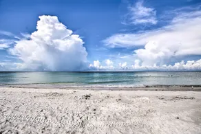 Beachfront Condo w/ Pool in Redington Shores - Image 3