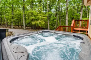 Modern Cabin w Hot Tub & Indoor Pool Gym Access! - Image 5