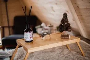 Scandinavian-style forest cabin with firepit - Image 2