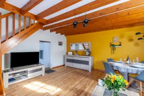 Dido Newfy Home - Image 2