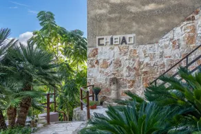 Chibao - Image 5