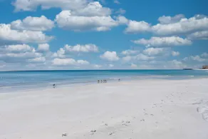 Salty Tide - Image 3
