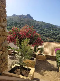 The Cosy Home - Corbara-Presente-Exclusivo-Casa de banho privada-Terraço - Image 2