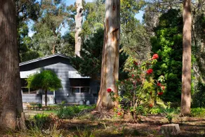 Selo Retreat- escape to this forest retreat - Image 5