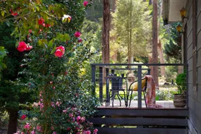 Selo Retreat- escape to this forest retreat - Image 2