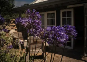 Devlin's Cottage - Image 3