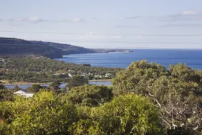 JACKSON EN LA COLINA - Anglesea - Image 3