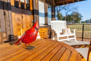 Meadowlark Treehouse 15 MIN to MagnoliaBaylor - Image 5
