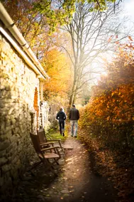 The Writer's Cottage, secluded woodland setting - Image 4