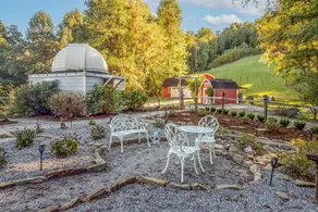 40 Acres w/Waterfalls, Vineyard, Stream, Blueberry - Image 5