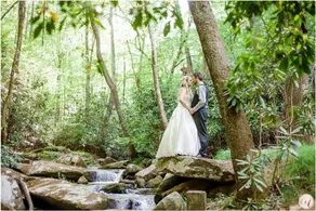 40 Acres w/Waterfalls, Vineyard, Stream, Blueberry - Image 3
