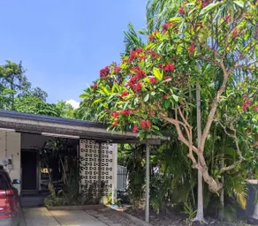 Tropical Garden Villa 5 mins from City Centre - Image 3