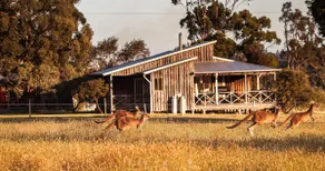 Billa Billa Farm Cottages - Image 2