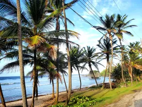 Quiet Family Cottage Near Beach with Cabana - Image 3