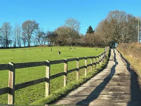 Arniss Farmhouse - Image 2