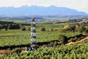 Tina de Vila, in the wine capital (Vilafranca) - Image 5