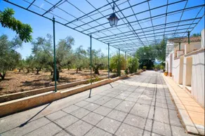 Senia Tomaset II incredible garden - Image 2
