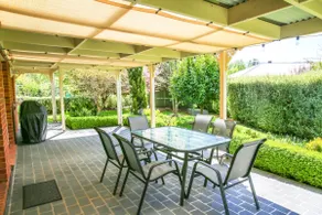 MOUNTAIN THYME - pet friendly comfort - Image 2