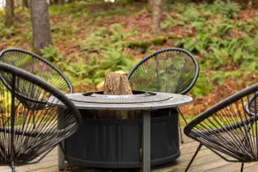 Private Chalet with Fire Pit Deck and Large Yard - Image 3