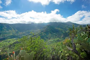 Ca' Navarro - Image 2