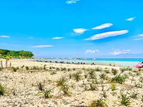 Astra Beach House by DadoVillas - Image 5