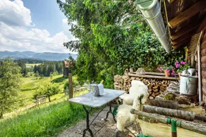 Oberberg Vacation Rental - Image 4