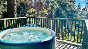 Glen View Retreat- Spa/Fireplaces/ Ping Pong Table - Image 2