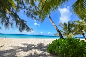 2-bed Apt by Beach in St. Lawrence Gap - Image 4