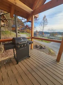 Denali: 8 Person Mini Lodge & Hot Tub (16 of 16) - Image 5