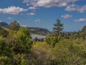 Hillside Haven - Tairua Holiday Home - Image 5