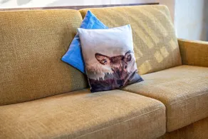 House by the bird meadow App 2 - Image 3