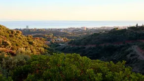 Samara Marbella - Image 2