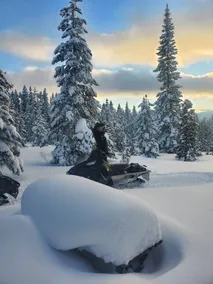 Cozy & Private Cabin in the woods! - Image 5
