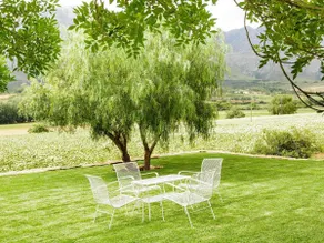Blue Lily Retreat - Image 3