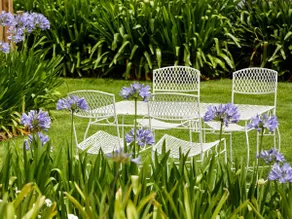 Blue Lily Retreat - Image 5