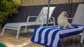 Fairways Beach House - Pool, Golf, Sawtell Village, Family Friendly - Image 4