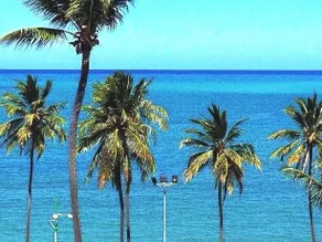 Beach port in Jatiuca - Image 5
