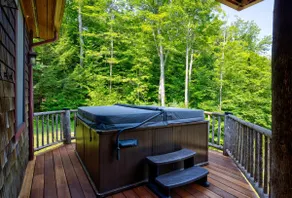 Waterfront Retreat: Treehouse, Hot Tub, Fireplace - Image 5
