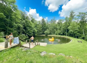 Waterfront Retreat: Treehouse, Hot Tub, Fireplace - Image 2