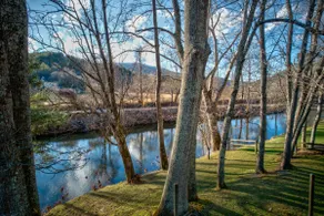 On The River: Dog Friendly | River Frontage - Image 4