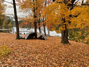 Red Tree Resort Cabin 1 - Image 3