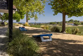 Bella Vista- Paso Wine Country with Vineyard Views - Image 5