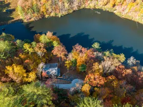 Lakeside Treehouse w/Hot Tub & Firepit - Image 5