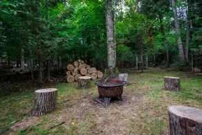 Private Wooded Lot, Spacious home- Near Egg Harbor - Image 4