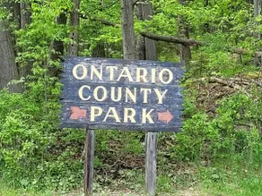 5 min to Canandaigua Lake, Hiking, Private Trails - Image 5