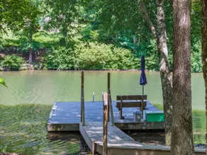 One Oar Missing on Little River w/double fireplaces - Image 5